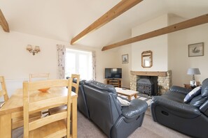 Smart TV, fireplace, DVD player, books