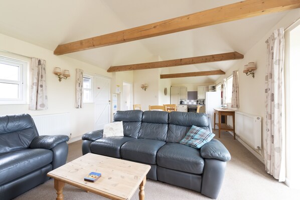 Smart TV, fireplace, DVD player, books