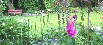 Corner Cottage 1 mile from Ballygally and Antrim Coast Rd
