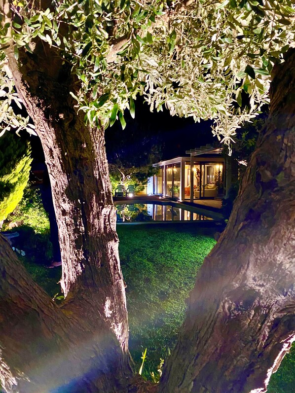 Overnattingsstedets uteområder