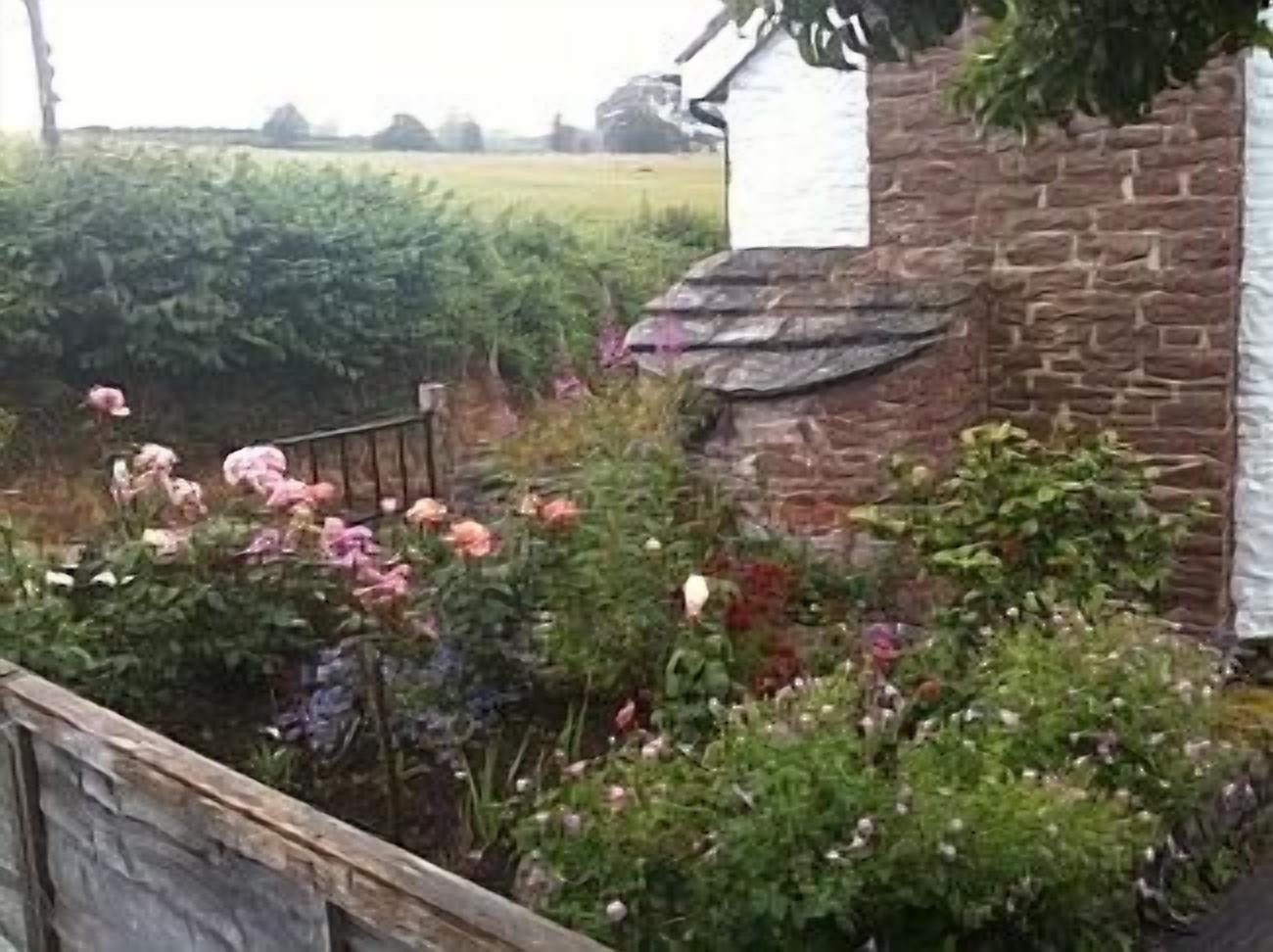 Flowers in the garden
