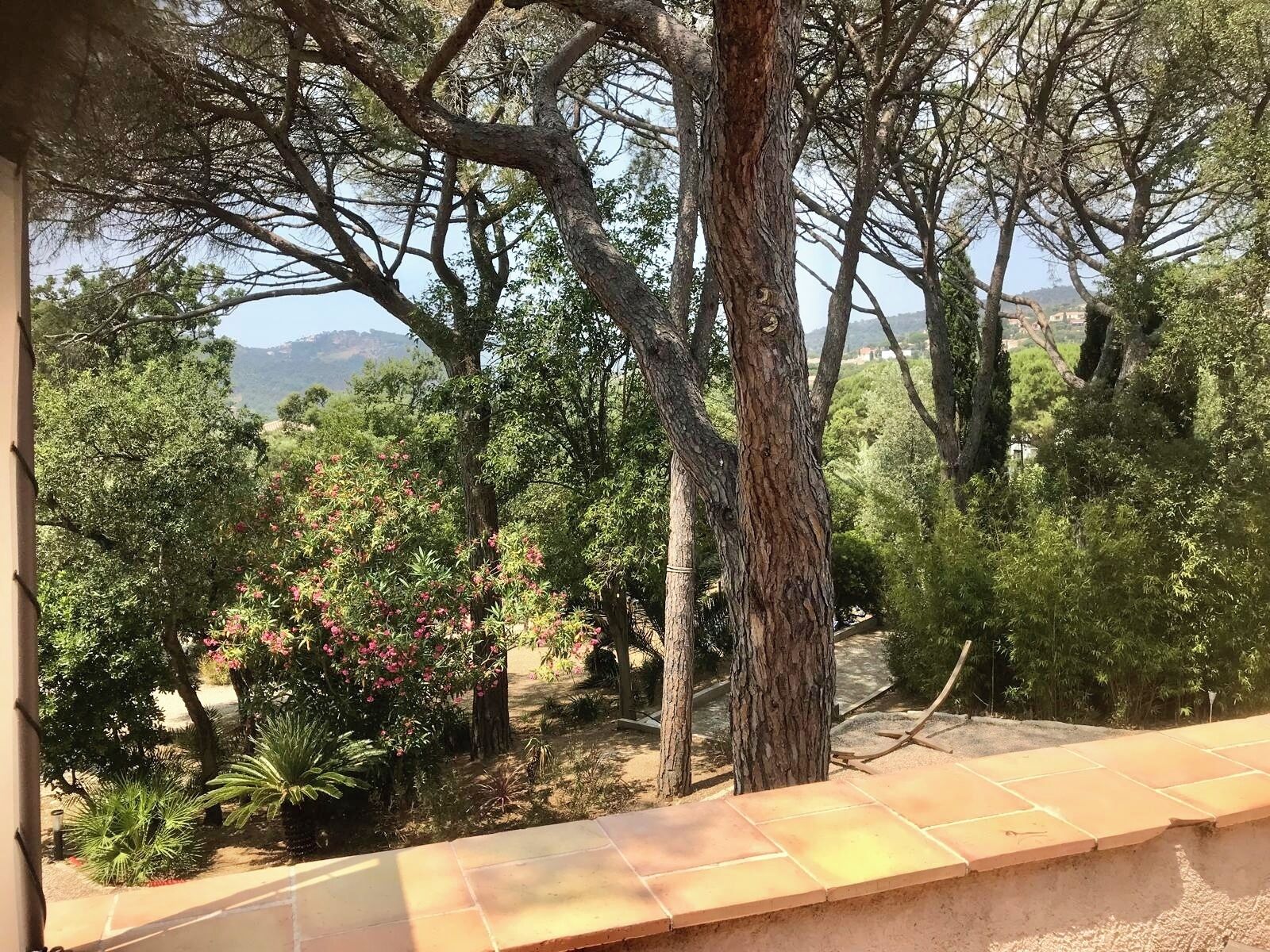 Un jardín con varios árboles y arbustos, un camino pavimentado y vistas a colinas distantes.