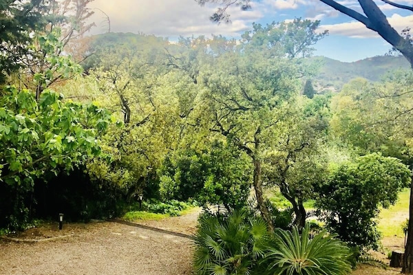 Jardin et places de parking