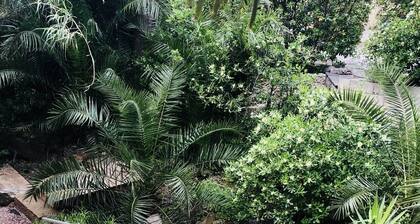 Charming villa, garden, beach and port 7 min walk, reversible air-conditioning, boules court.