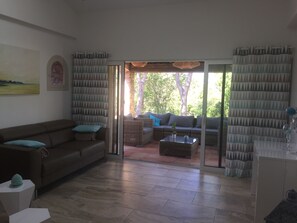 TV, caminetto, libri