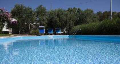 Villa Paolina: private pool, large shady patio, front garden.