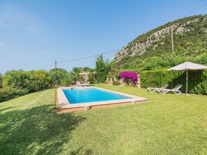 Una piscina rectangular con solárium empinado, rodeada de césped cuidado y diversas plantas.