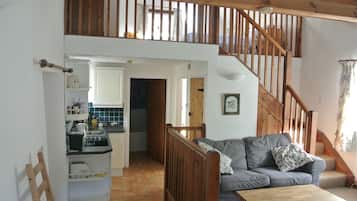 Televisión, chimenea, reproductor de DVD, libros