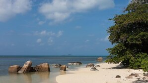 Ein Strand mit klarem Wasser, großen Felsen und einer Baumgrenze.