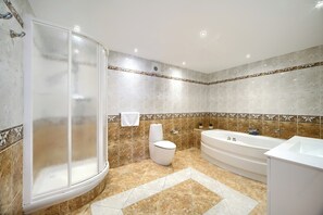 Combined shower/bathtub, bidet, towels