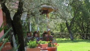 Un jardín con plantas en macetas y una estatua.