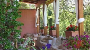 Un espacio cubierto con asientos, plantas en macetas y vistas al verdor.