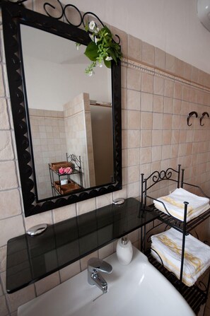 Shower, hair dryer, bidet