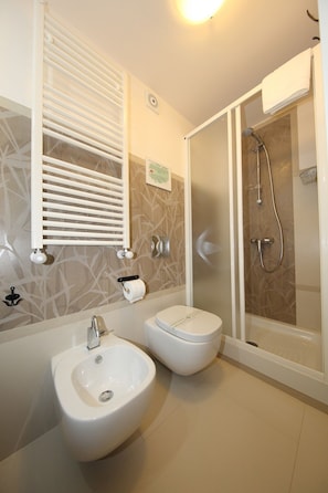 Shower, hair dryer, bidet, towels