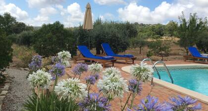 Ferienhaus / Villa - Bordeira, Quinta das Raposeiras - FaroHaus mit Garten