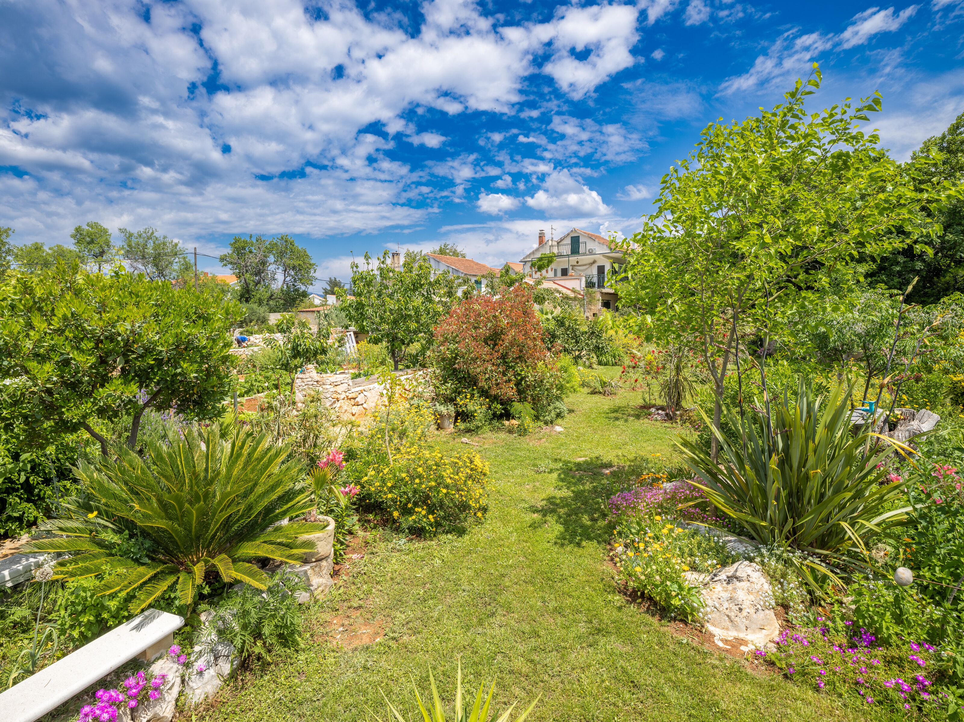 Jardines del alojamiento