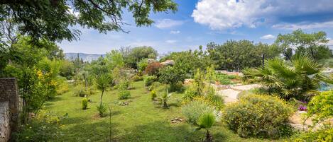 A lush garden with various plants and trees, a stone wall, and a clear blue sky.