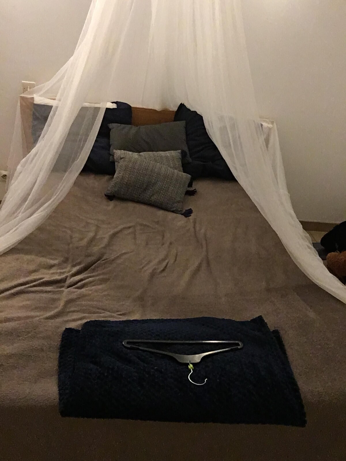 Imagen de perfil del propietario o de la propietaria