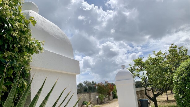 A pathway leading to a white building with a dome, surrounded by greenery and a clear sky.