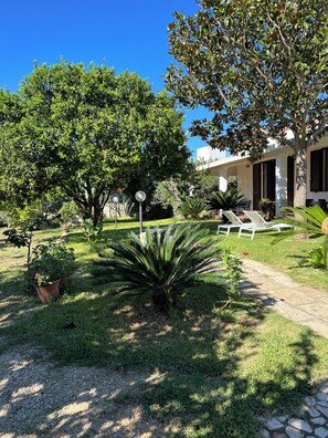 Terrain de l’hébergement 