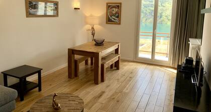 Central 6 Personne 47m2 Appartement. Incroyable balcon orienté au sud. 150m pour les remontées mécaniques