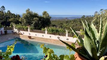 Una piscina climatizada, tumbonas