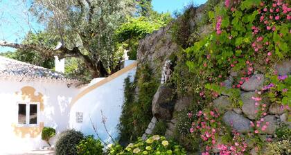 Refugio de montaña en un entorno mágico con piscina climatizada y hermoso jardín