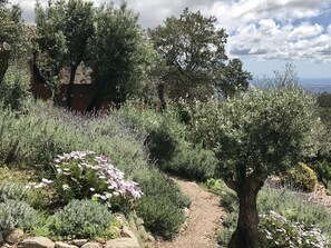 Property grounds - Mountain Retreat in Magical Setting with Heated Pool and Beautiful Garden (Monchique)