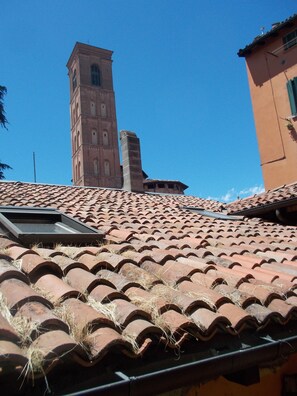 A tiled roof with a skylight and a tall tower in the background.