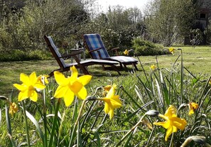 Property grounds - FREE LATE CHECK-OUT* - Large Country House - sleeps 14 (Danvou-la-Ferrière)
