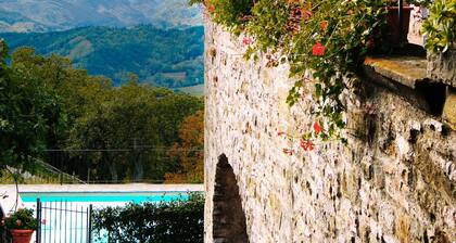 Historic 16th-century Tuscan villa with private pool and panoramic mountain view