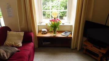 Smart TV, fireplace, books