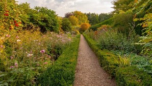 Een tuinpad omringd door weelderige begroeiing en diverse bloeiende planten.