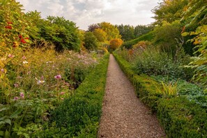 A garden pathway surrounded by lush greenery and various flowering plants.