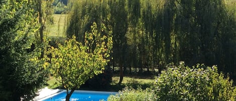 温水プール