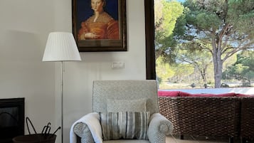 Televisión, chimenea y reproductor de DVD