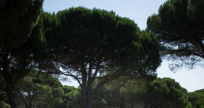 Casa Lola. Beach at 1km and forest on your doorstep