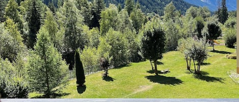 A wooden deck with a table and chairs, overlooking a forested valley and a snow-capped mountain.