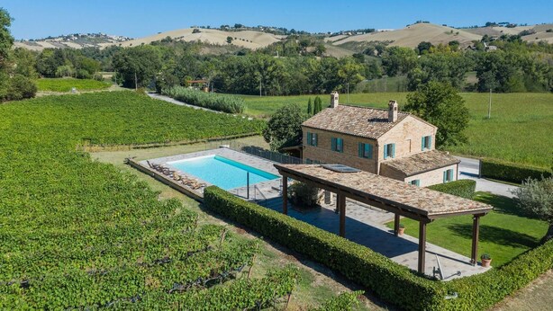 A villa with a swimming pool, surrounded by vineyards and hills. - Casale Vigneto - 3 bedrooms, pool, AC, wifi, pets, Marche (Mogliano)
