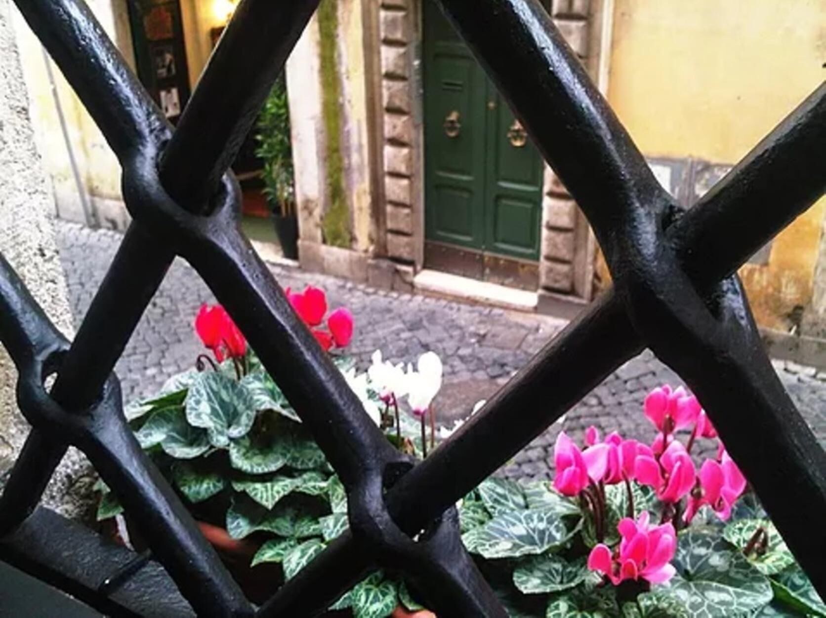 A view through a black wrought iron gate with red and white flowers in the foreground.