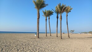 Ein Sandstrand mit Palmen und blauem Himmel.