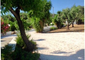 Surrounded by lush trees and shrubs, this serene oasis features a palm tree and sandy terrain.