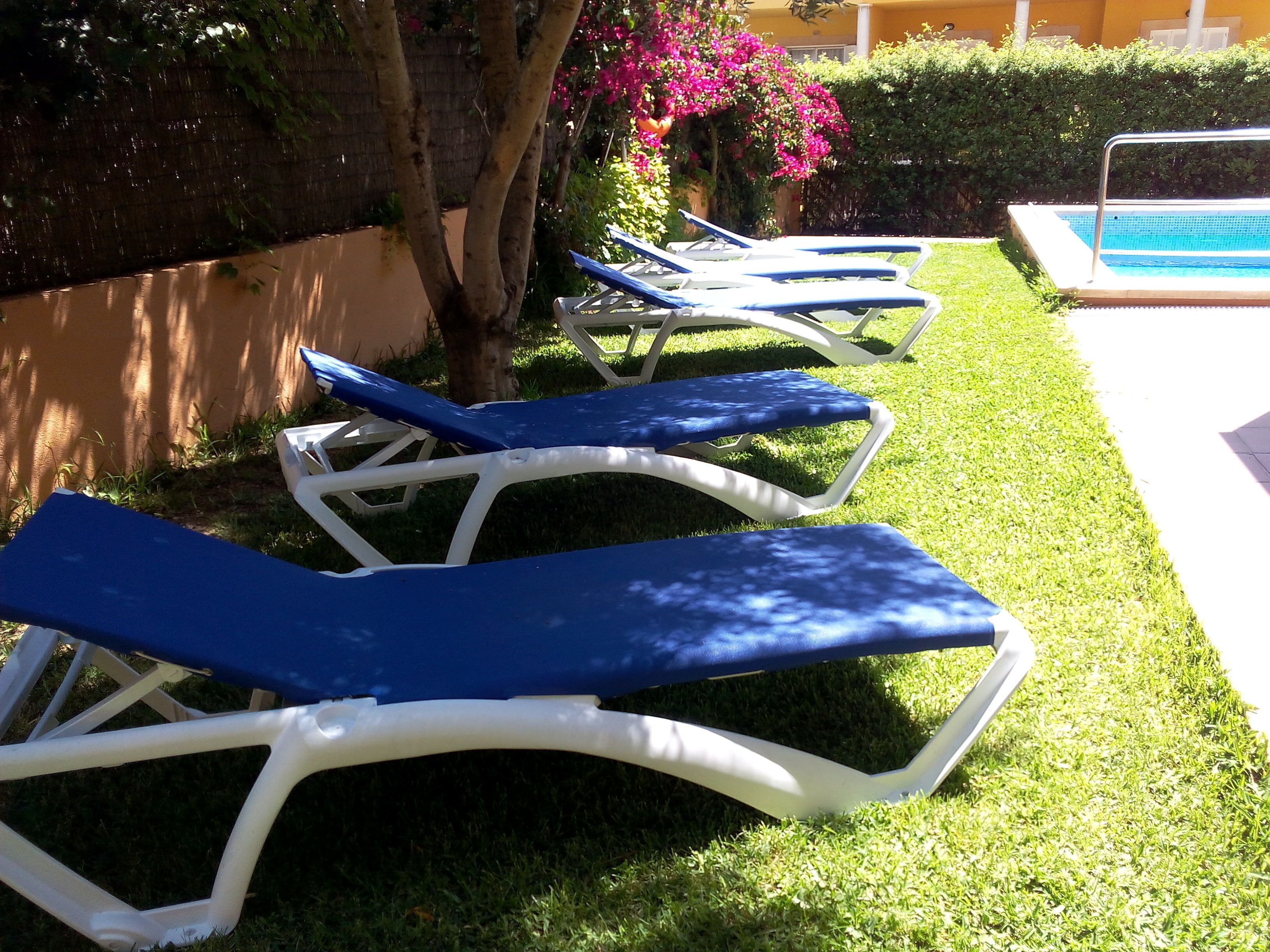A row of blue and white sun loungers by a poolside.