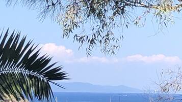Beach nearby, sun loungers
