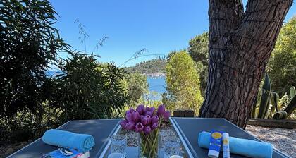 House with sea view sorrounded by a beautiful garden
