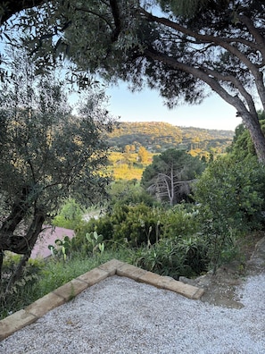 A gravel path, dense foliage, and a distant view of a hill with buildings.