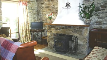 Smart TV, DVD player, books, video library