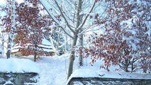 A stone wall with snow accumulation.