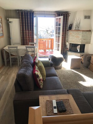 TV, fireplace, DVD player, video library