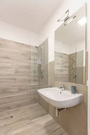 Shower, hair dryer, bidet, towels